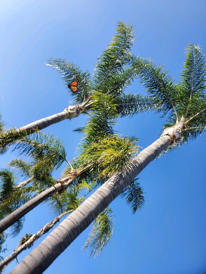 Marina Beach Motel Santa Barbara Ngoại thất bức ảnh